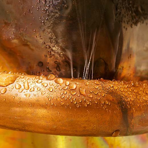 Same Day East Bloomfield Plumbing Service, drains, septic, trenchless.